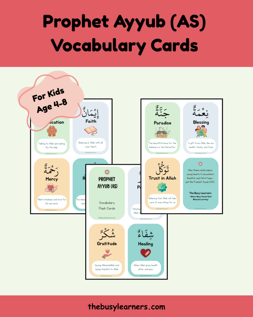 Flash cards on Ayyub AS